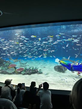 サンシャイン水族館に投稿された画像（2023/7/8）