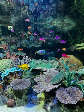 サンシャイン水族館に投稿された画像（2023/7/8）