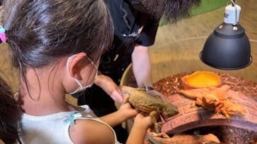 NARA IKIMONO MUSEUMに投稿された画像（2023/7/9）