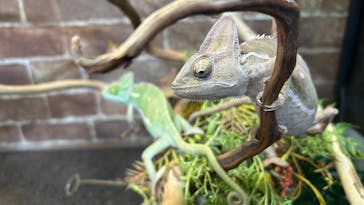 NARA IKIMONO MUSEUMに投稿された画像（2023/7/9）