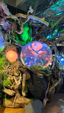 NARA IKIMONO MUSEUMに投稿された画像（2023/7/9）