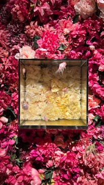 NARA IKIMONO MUSEUMに投稿された画像（2023/7/9）