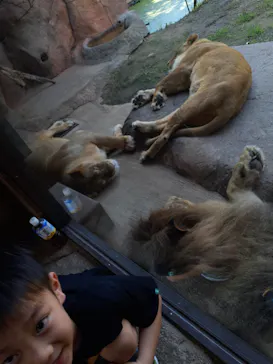 天王寺動物園に投稿された画像（2023/7/9）