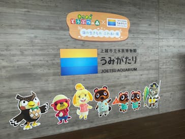 上越市立水族博物館 うみがたりに投稿された画像（2023/7/9）