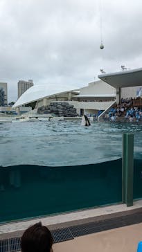 鴨川シーワールドに投稿された画像（2023/7/9）