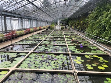 熱川バナナワニ園に投稿された画像（2023/7/9）