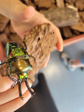 JOYPOLIS SPORTS（ジョイポリススポーツ） イオン仙台中山店に投稿された画像（2023/7/9）