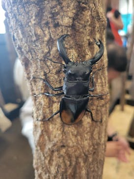 JOYPOLIS SPORTS（ジョイポリススポーツ） イオン仙台中山店に投稿された画像（2023/7/9）