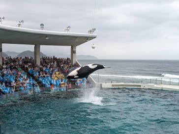鴨川シーワールドに投稿された画像（2023/7/9）