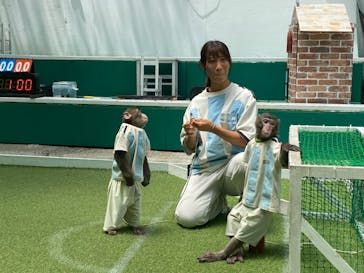 おさるランド＆アニタウン　日光さる軍団劇場に投稿された画像（2023/7/9）