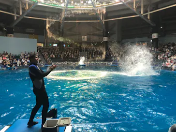 マクセル アクアパーク品川に投稿された画像（2023/7/9）