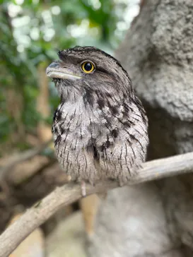 神戸どうぶつ王国に投稿された画像（2023/7/9）