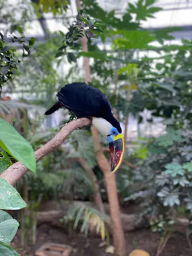 神戸どうぶつ王国に投稿された画像（2023/7/9）