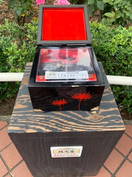 西武園ゆうえんちに投稿された画像（2023/7/9）