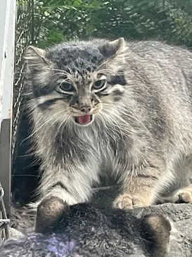 神戸どうぶつ王国に投稿された画像（2023/7/9）