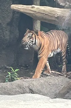 神戸どうぶつ王国に投稿された画像（2023/7/9）