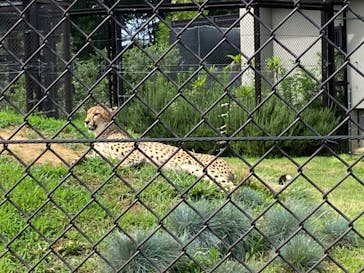 千葉市動物公園に投稿された画像（2023/7/9）