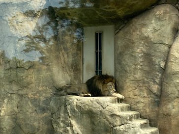 千葉市動物公園に投稿された画像（2023/7/9）