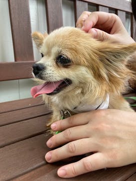 つくばわんわんランドに投稿された画像（2023/7/9）