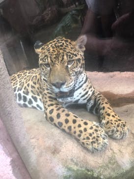 那須どうぶつ王国に投稿された画像（2023/7/9）