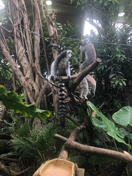 那須どうぶつ王国に投稿された画像（2023/7/9）