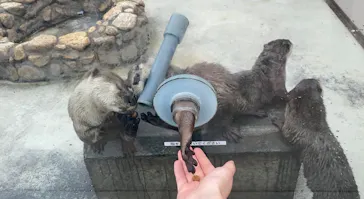 横浜・八景島シーパラダイスに投稿された画像（2023/7/9）