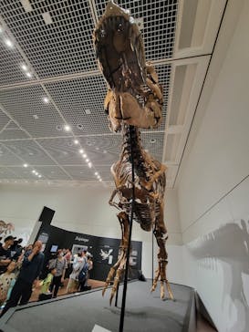 大阪市立自然史博物館に投稿された画像（2023/7/9）