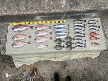 ラフネに投稿された画像（2023/7/9）