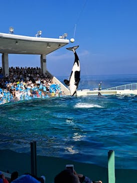 鴨川シーワールドに投稿された画像（2023/7/9）