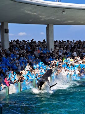 鴨川シーワールドに投稿された画像（2023/7/9）