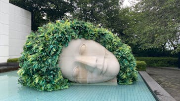 彫刻の森美術館に投稿された画像（2023/7/9）