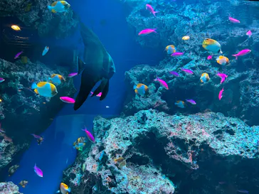 マクセル アクアパーク品川に投稿された画像（2023/7/9）