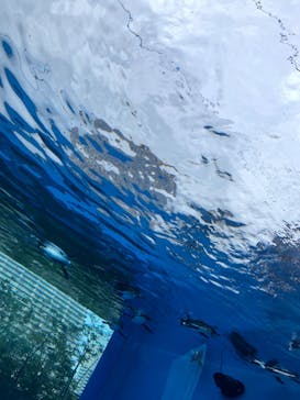 サンシャイン水族館に投稿された画像（2023/7/9）