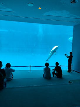名古屋港水族館に投稿された画像（2023/7/9）