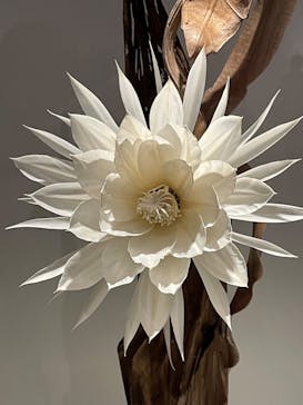 あべのハルカス美術館に投稿された画像（2023/7/9）