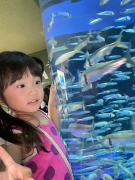 アクアワールド茨城県大洗水族館に投稿された画像（2023/7/9）