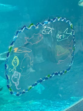 新江ノ島水族館に投稿された画像（2023/7/9）