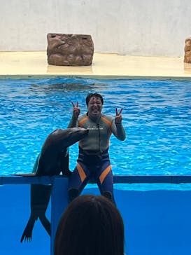 伊豆・三津シーパラダイスに投稿された画像（2023/7/9）