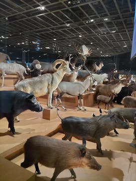 国立科学博物館に投稿された画像（2023/7/9）