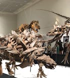 大阪市立自然史博物館に投稿された画像（2023/7/9）