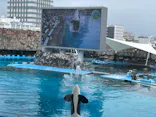 名古屋港水族館に投稿された画像（2023/7/9）