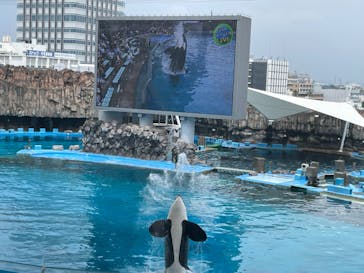 名古屋港水族館に投稿された画像（2023/7/9）