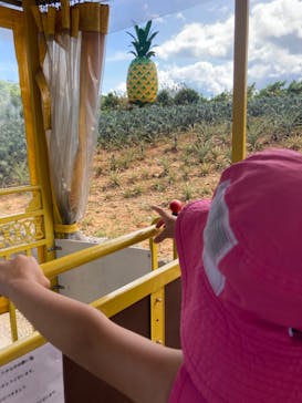 ナゴパイナップルパークに投稿された画像（2023/7/9）