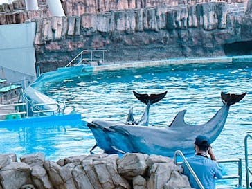 名古屋港水族館に投稿された画像（2023/7/9）