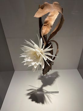 あべのハルカス美術館に投稿された画像（2023/7/9）