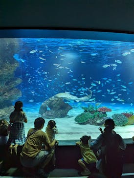 サンシャイン水族館に投稿された画像（2023/7/10）