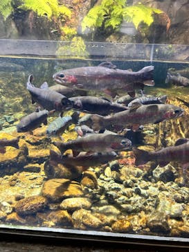 鴨川シーワールドに投稿された画像（2023/7/10）