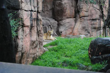 天王寺動物園に投稿された画像（2023/7/10）