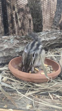 のぼりべつクマ牧場に投稿された画像（2023/7/10）