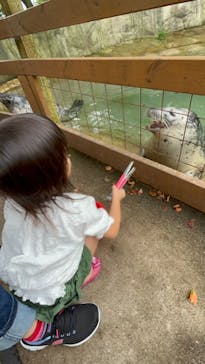 那須どうぶつ王国に投稿された画像（2023/7/10）